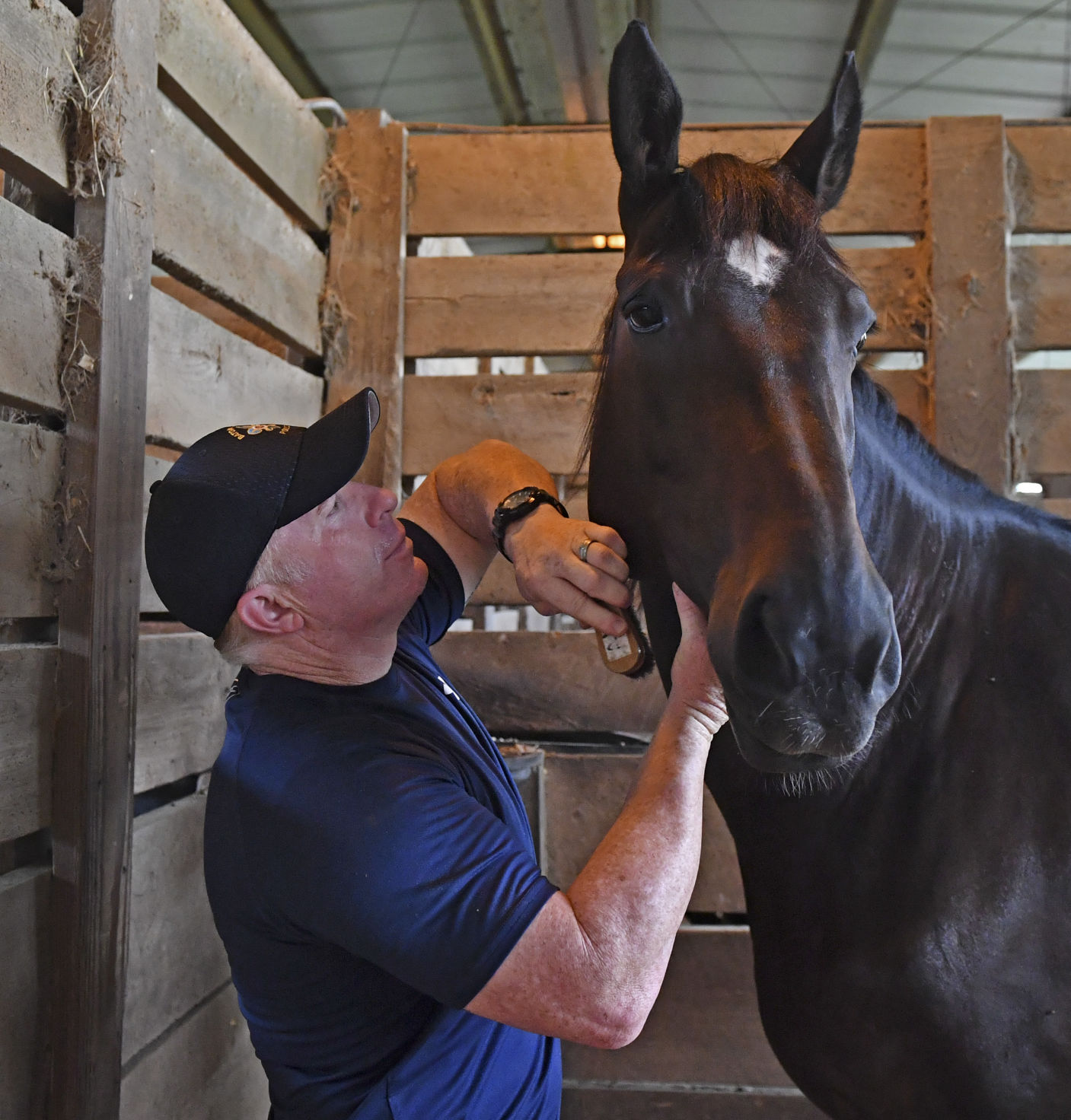 BR.brpdhorses.adv HS 008.JPG